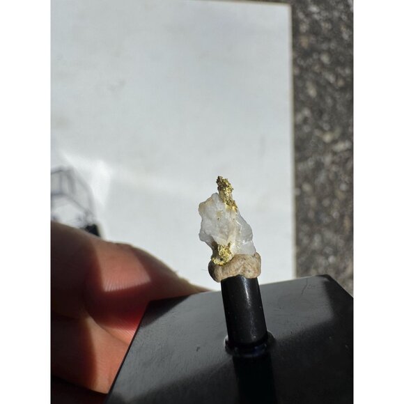 Gold on Quartz - Natural California Gold Specimen in Perky Display Box - #7 - Picture 6 of 7